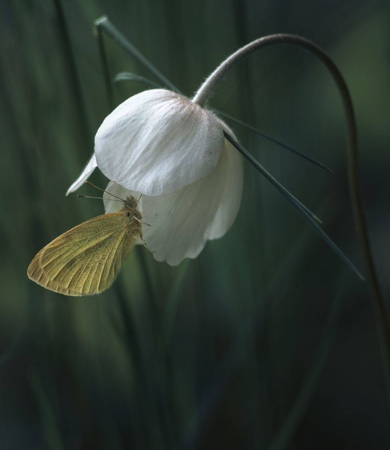 , Мозжухин Максим