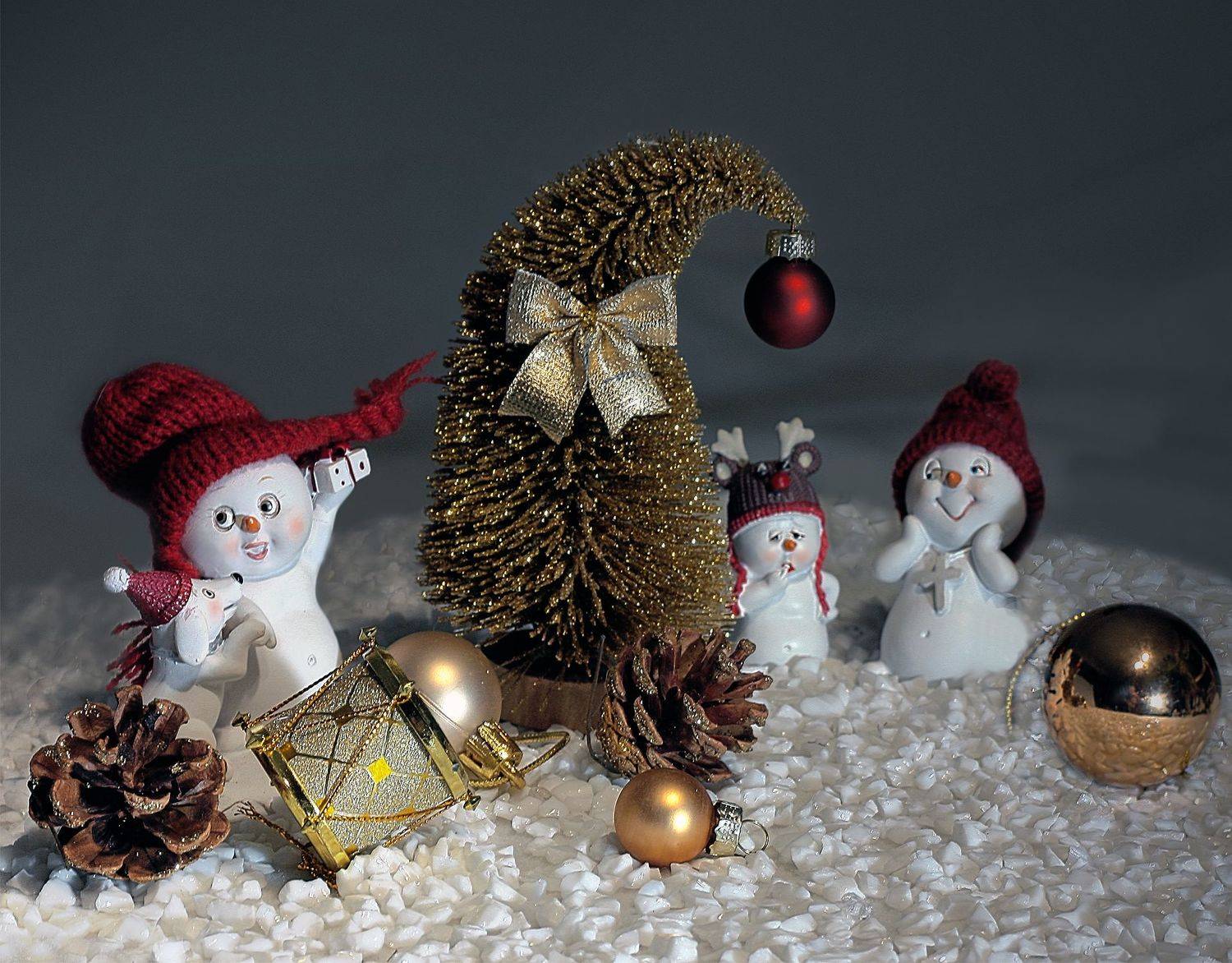 , Ольга Заболотская