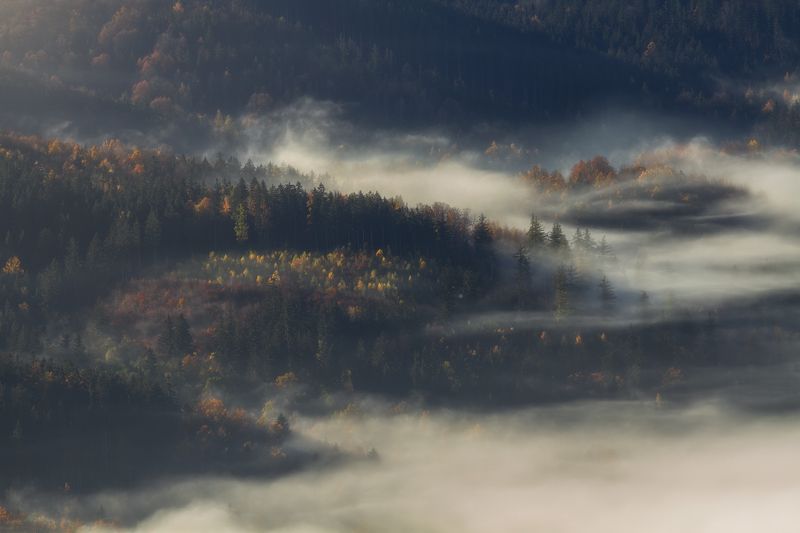 landscape,autumn,mountains,canon Forest Song... фото превью