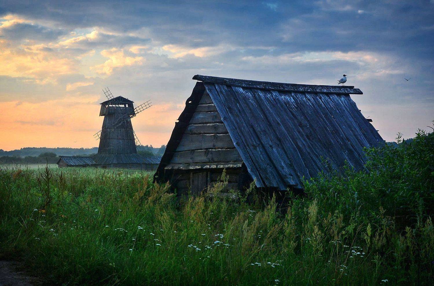 , Юлия Абрамова