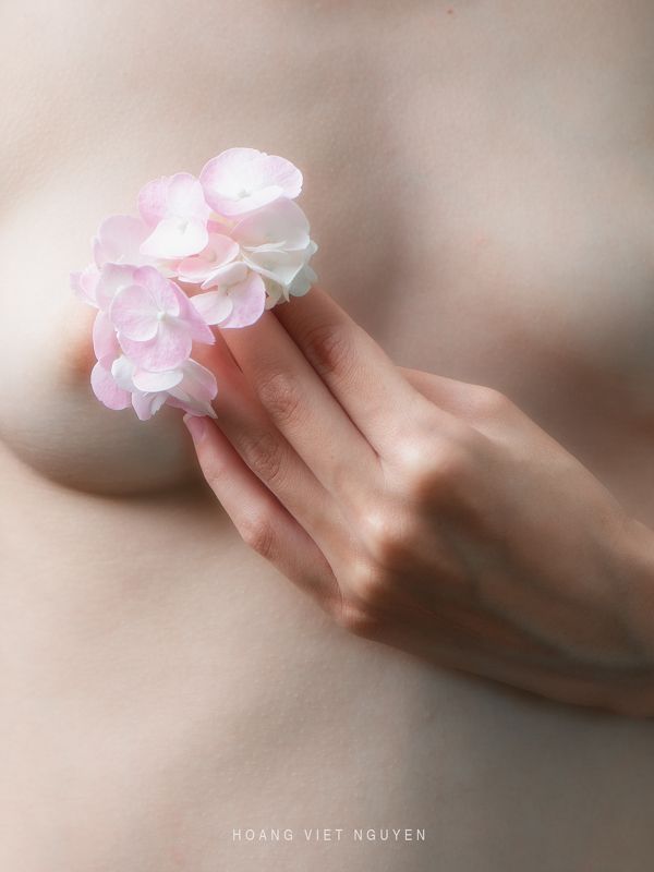 fine nudes, nude, flowers, skin, young, asian, vietnamese, vietnam, studio, hydrangea * * * фото превью