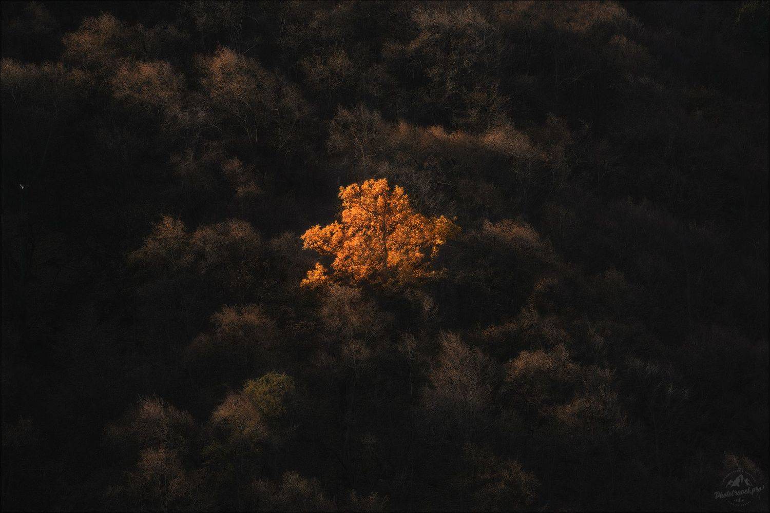 ингушетия, осень, цей-лом, цей-лоам, фототур в ингушетию, осенний фототур в ингушетию, Влад Соколовский
