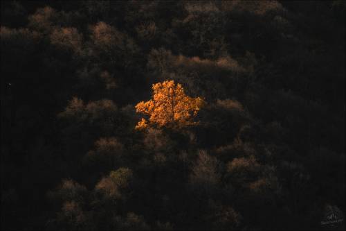 Одиночество осень