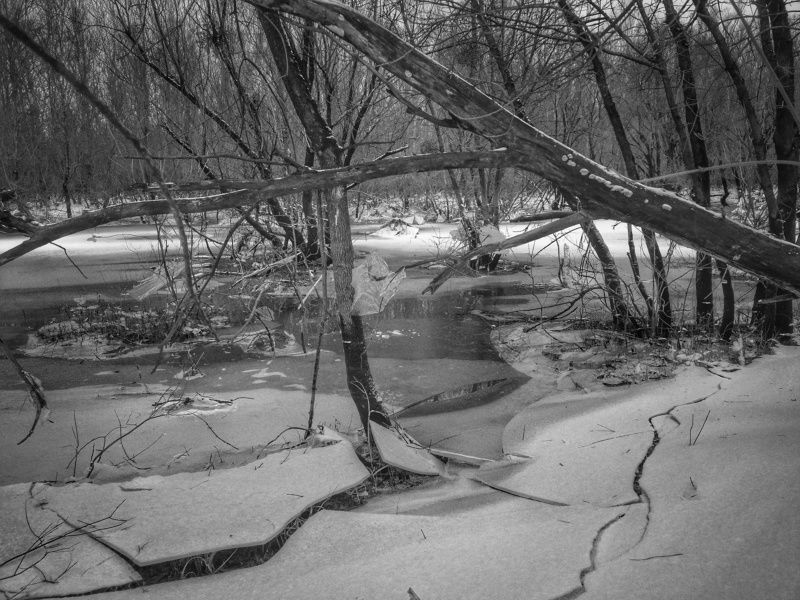 Winter фото превью