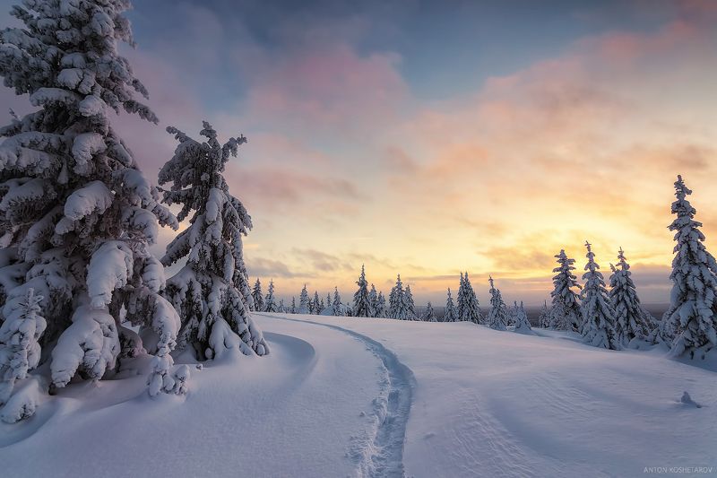 У опушки фото превью