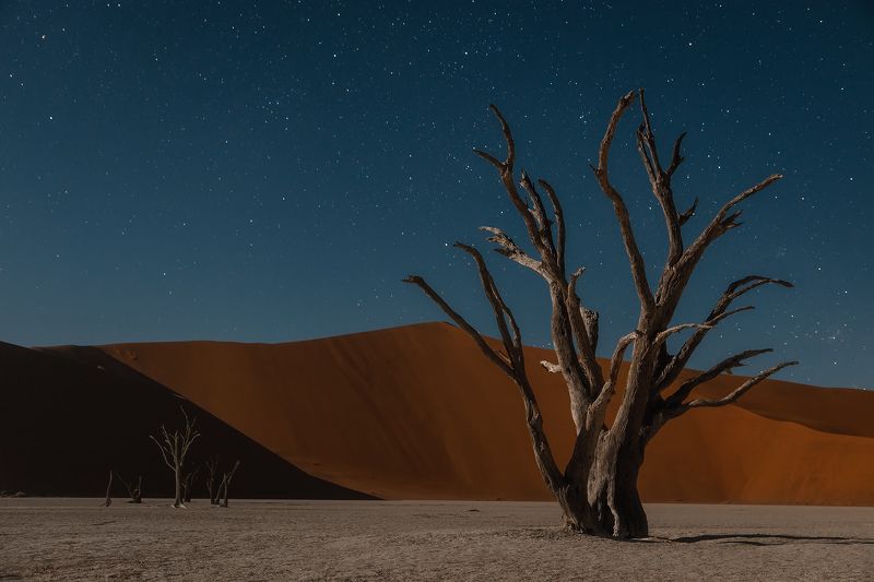 Намибийская ночь фото превью