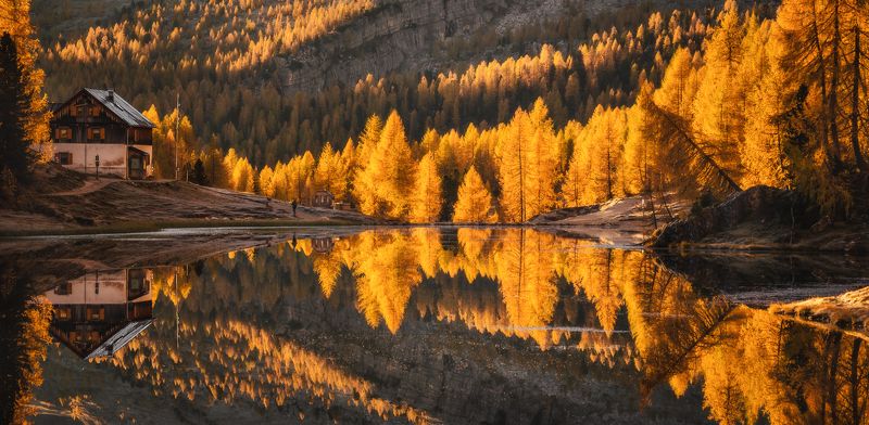 Reflection фото превью