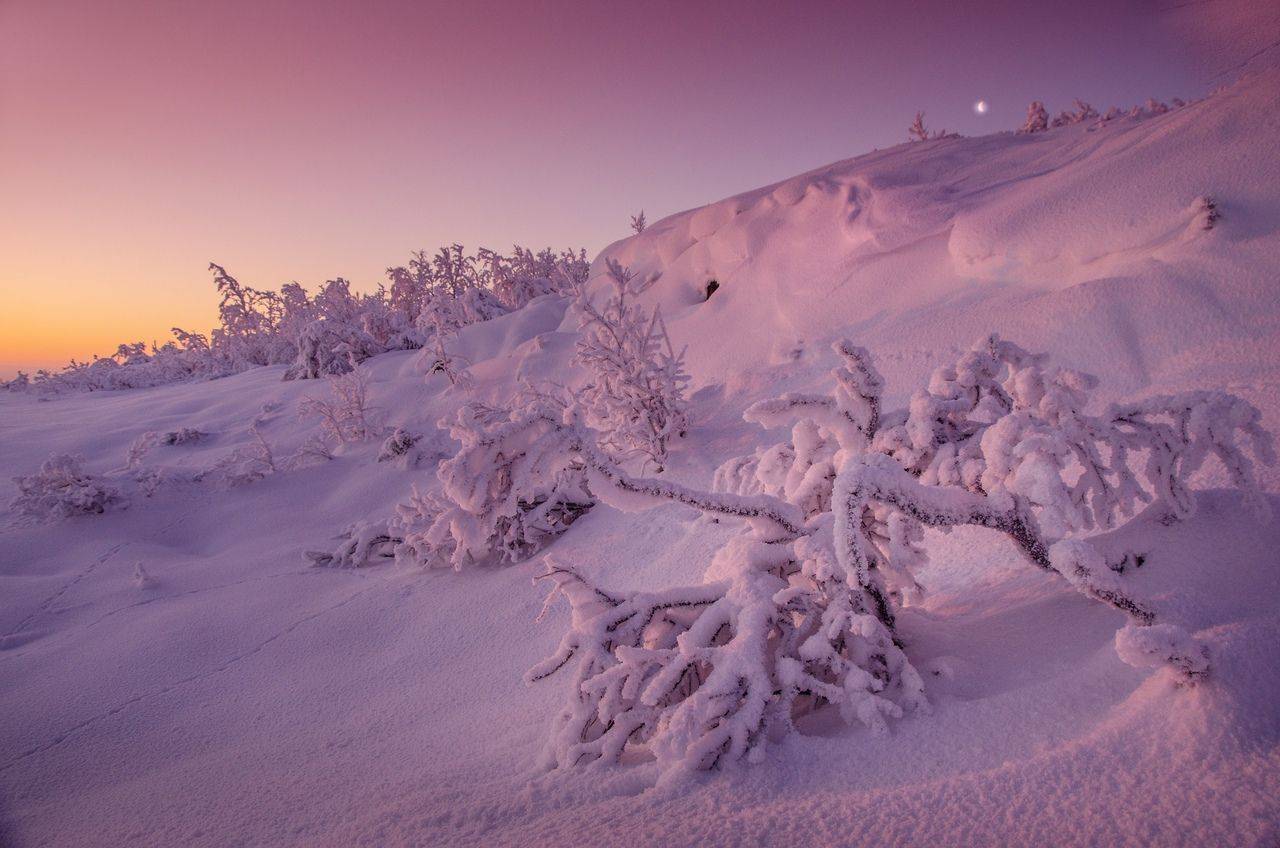 , Абрамов Денис