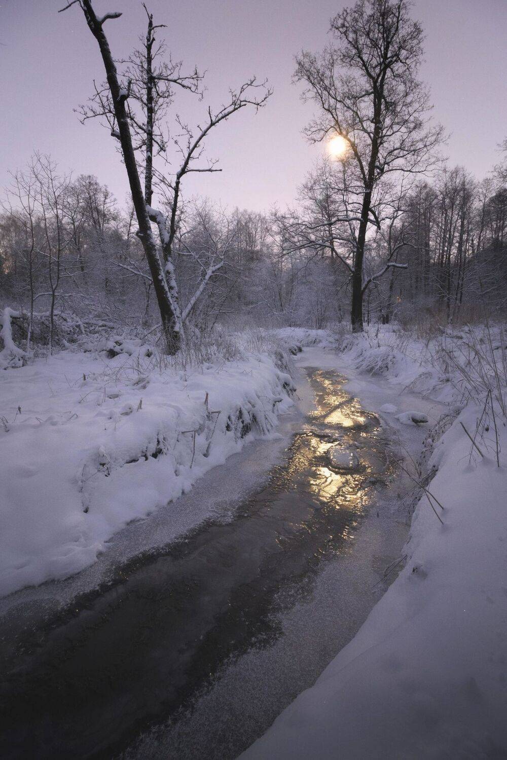 москва, россия, измайловский, парк, лес, лесопарк, река, серебрянка, ночь, вечер, сумерки, луна, свет, мороз, холод, лёд, дымка, туман, изморозь, зима, декабрь, пейзаж, туризм, путешествие, уикэнд, снег, дерево, трава, сухая, ветки, Котов Андрей
