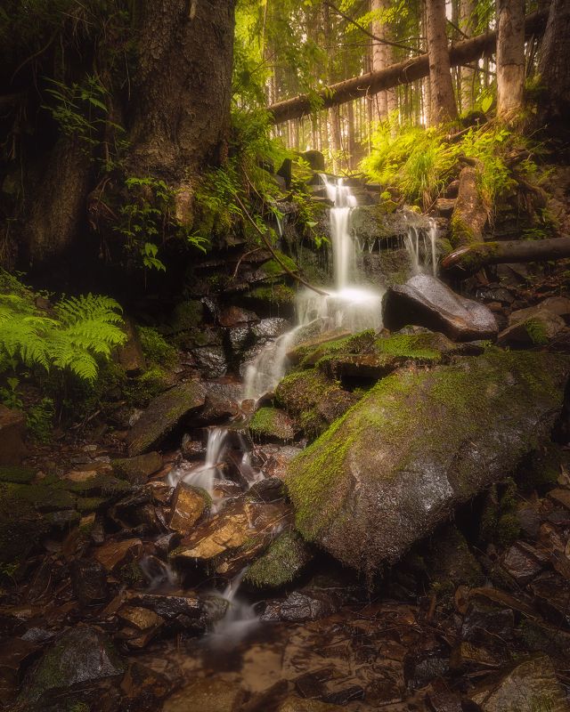 карпаты, украина, ручей, яремче, лес, горы Горный ручей фото превью