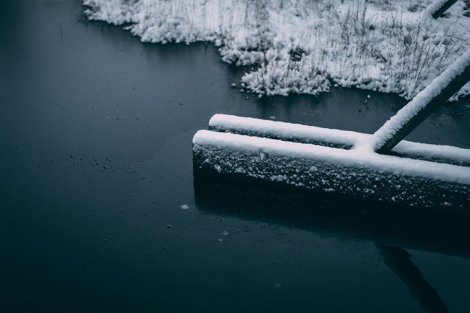 winter, sky, outdoor, new, frost, cover, environment, natural, snowy, beautiful, frozen, ice, forest, season, snow, nature, , Raimond Klavins