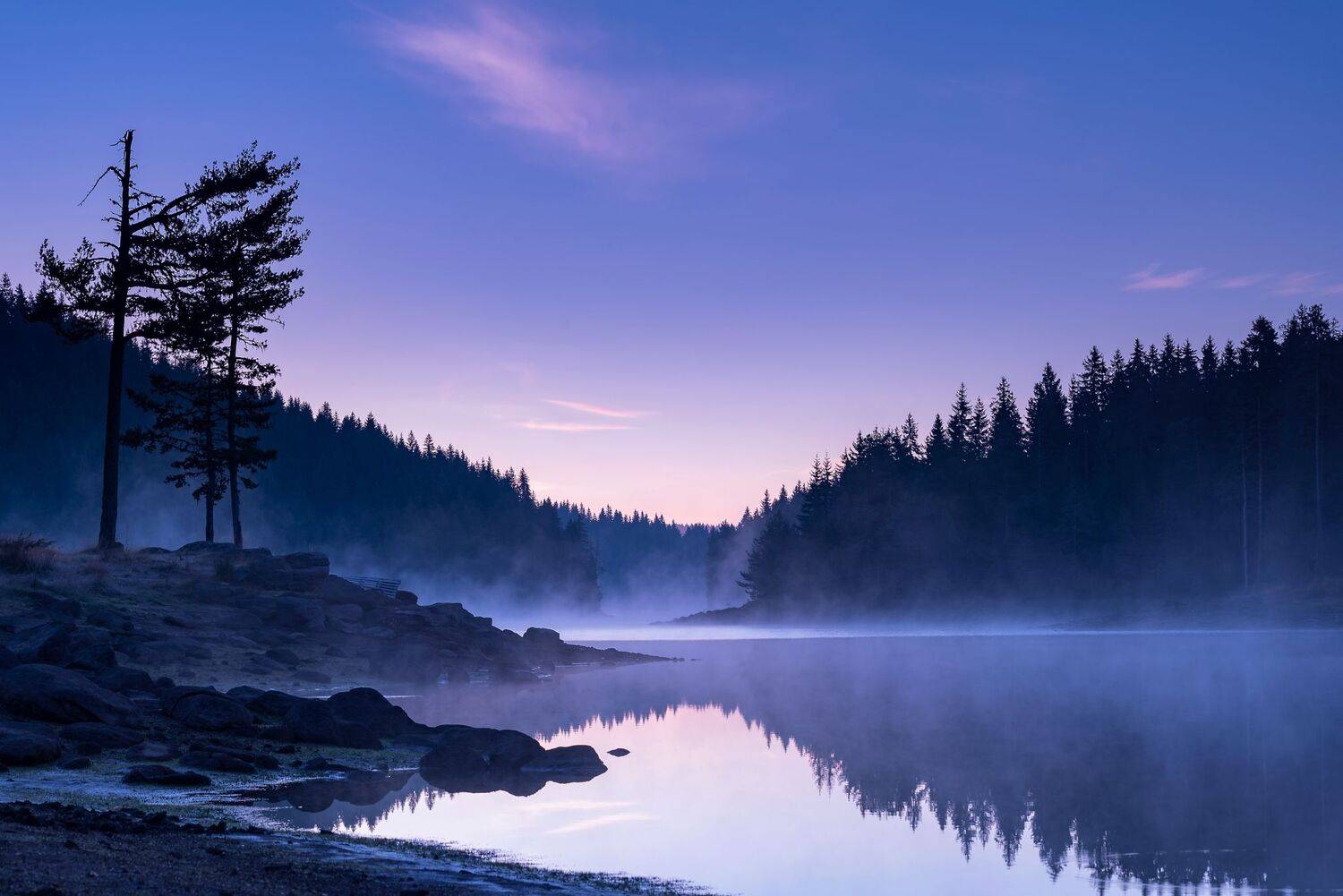 , Mariyana Atanasova - Lucero