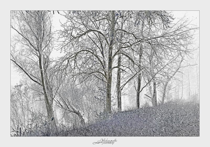 Забайкальский край Сновидение фото превью