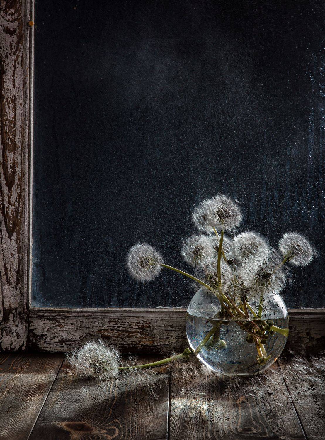 , Дмитрий Герц