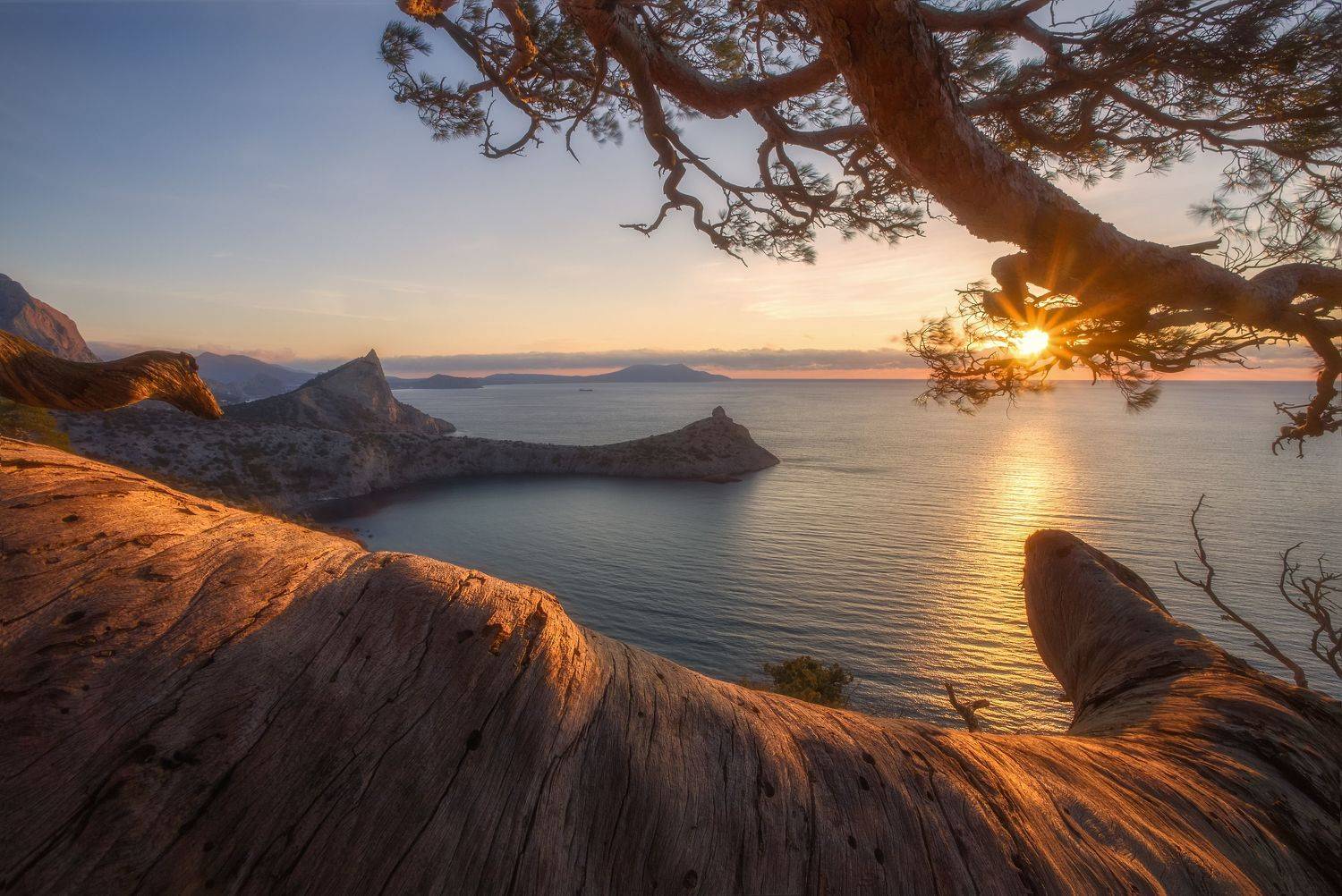 новый свет, крым, пейзаж, горы, рассвет, зима, утро, судак, crimea, landscape, sunset, sea, Екатерина Дмитренко