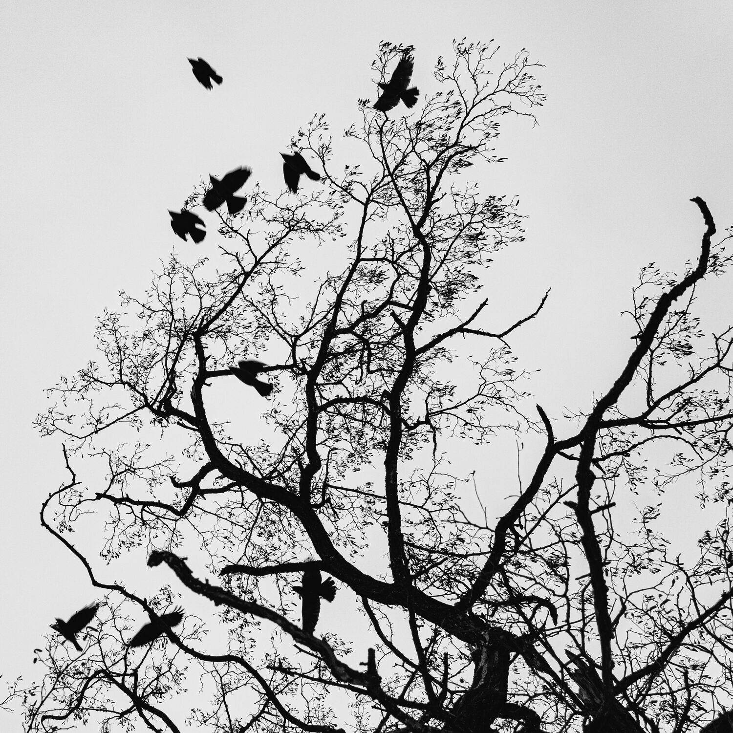 , Юрий Вертиков