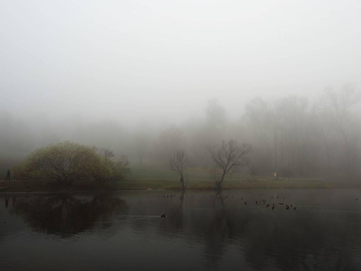 , Сергей Духанин