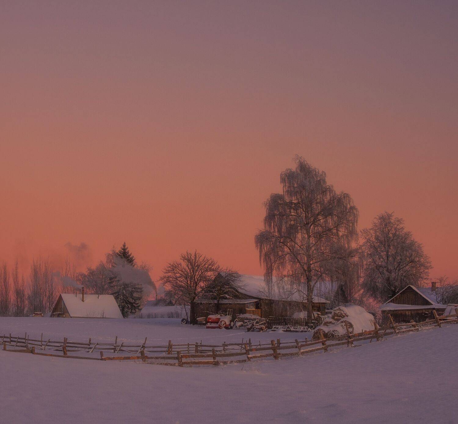 , Светлана Краюшкина