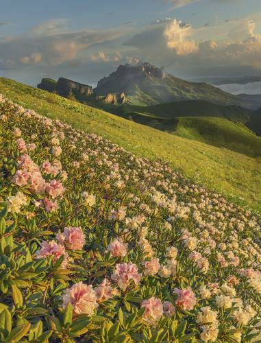 Утренний вид на Тхачи