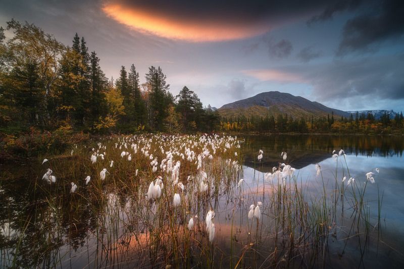 россия, мурманская область, кольский полуостров, пейзаж, природа, осень, заполярье, рассвет, хибины, водопад, река Краски Кольского фото превью