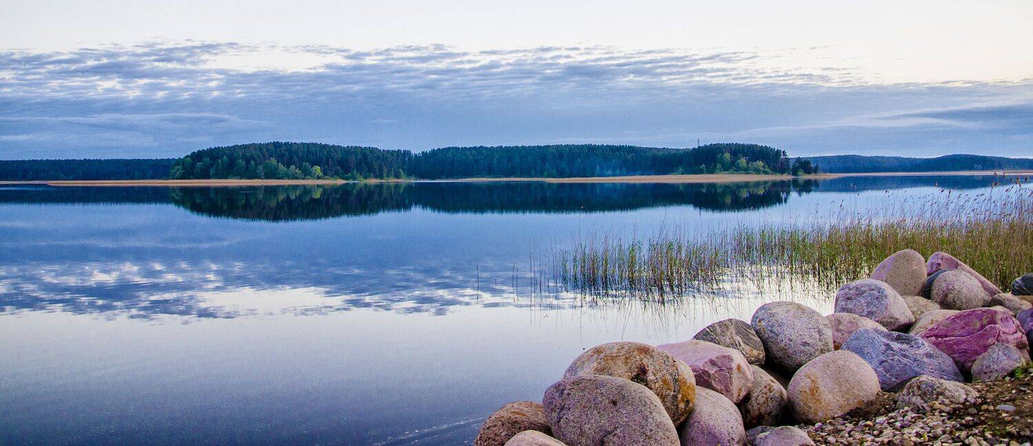 , Александр Березуцкий