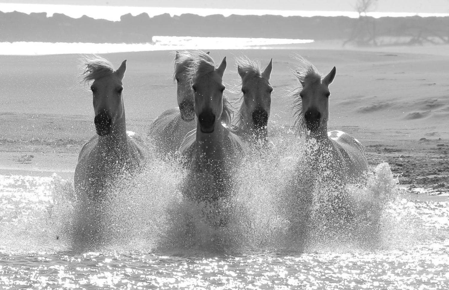 , Гудков Андрей