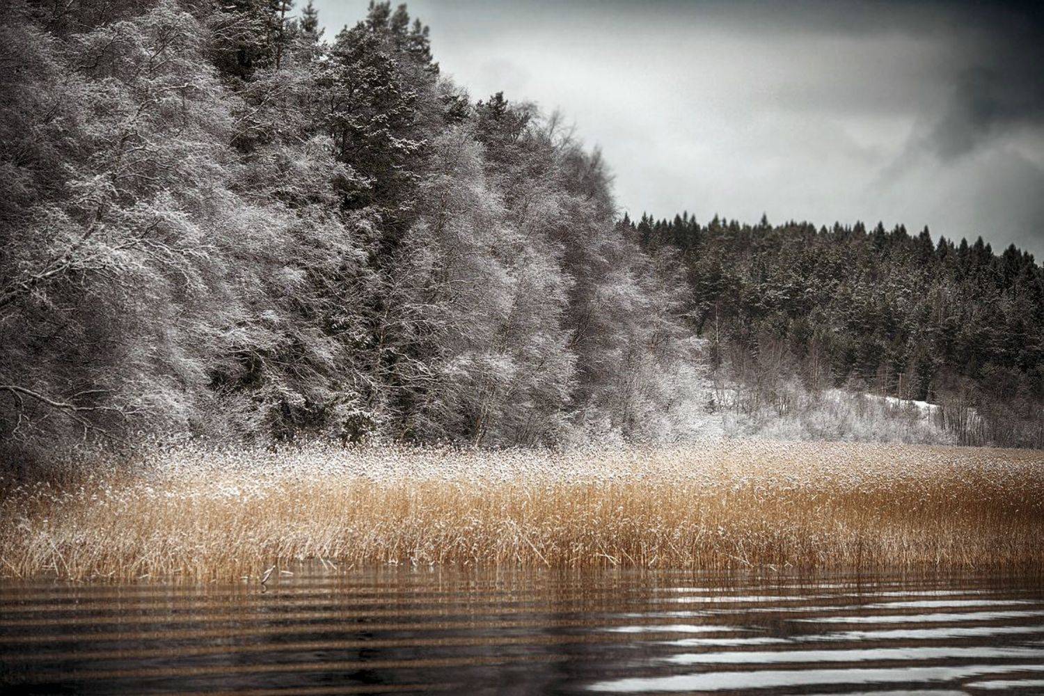 , Орлов Олег