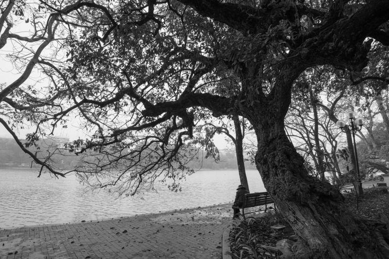 Mùa đông cô đơn фото превью