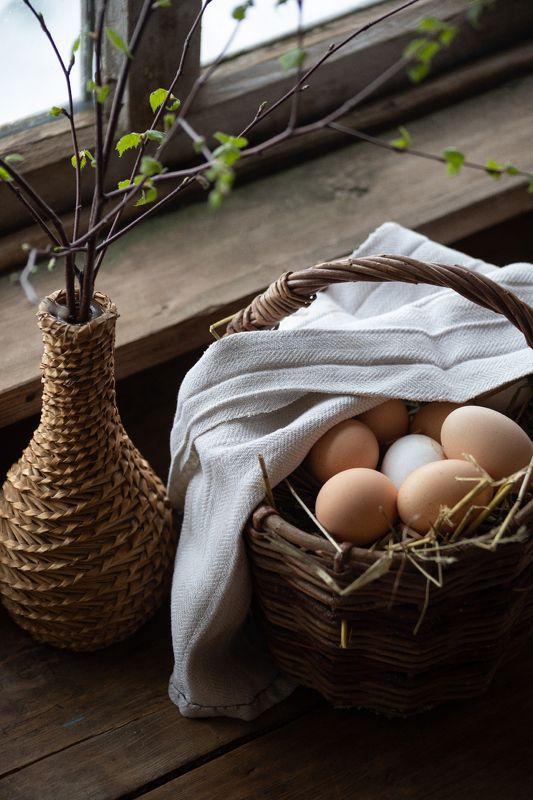 весна, яйца, листва Начало жизни фото превью