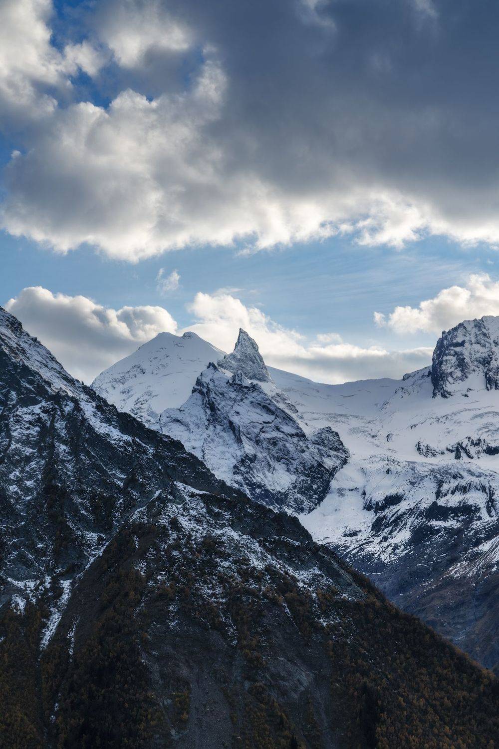 , Юлия Шумляева