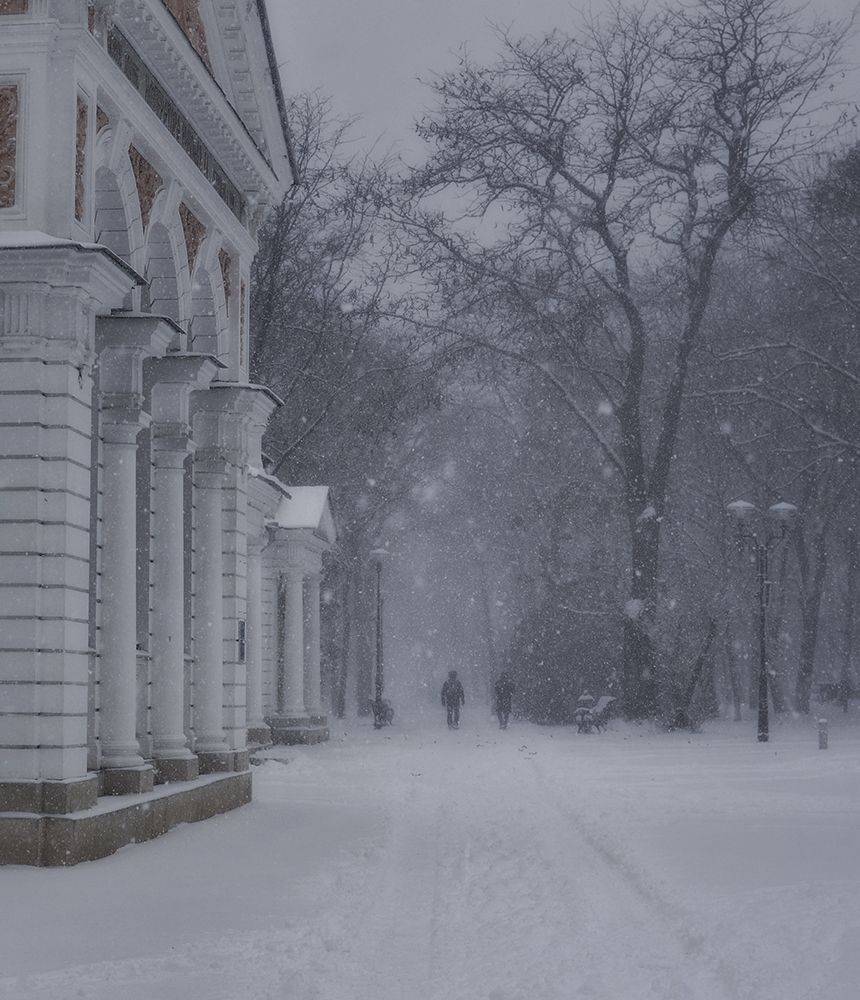 , Геннадий Чеботарев