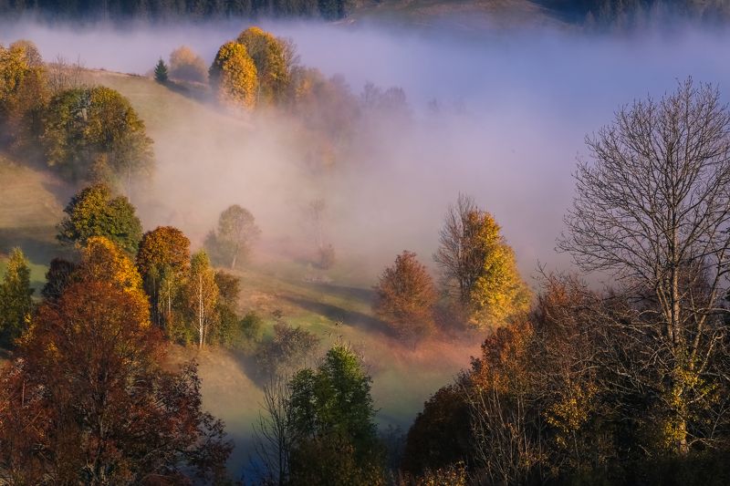 Рассветная фото превью
