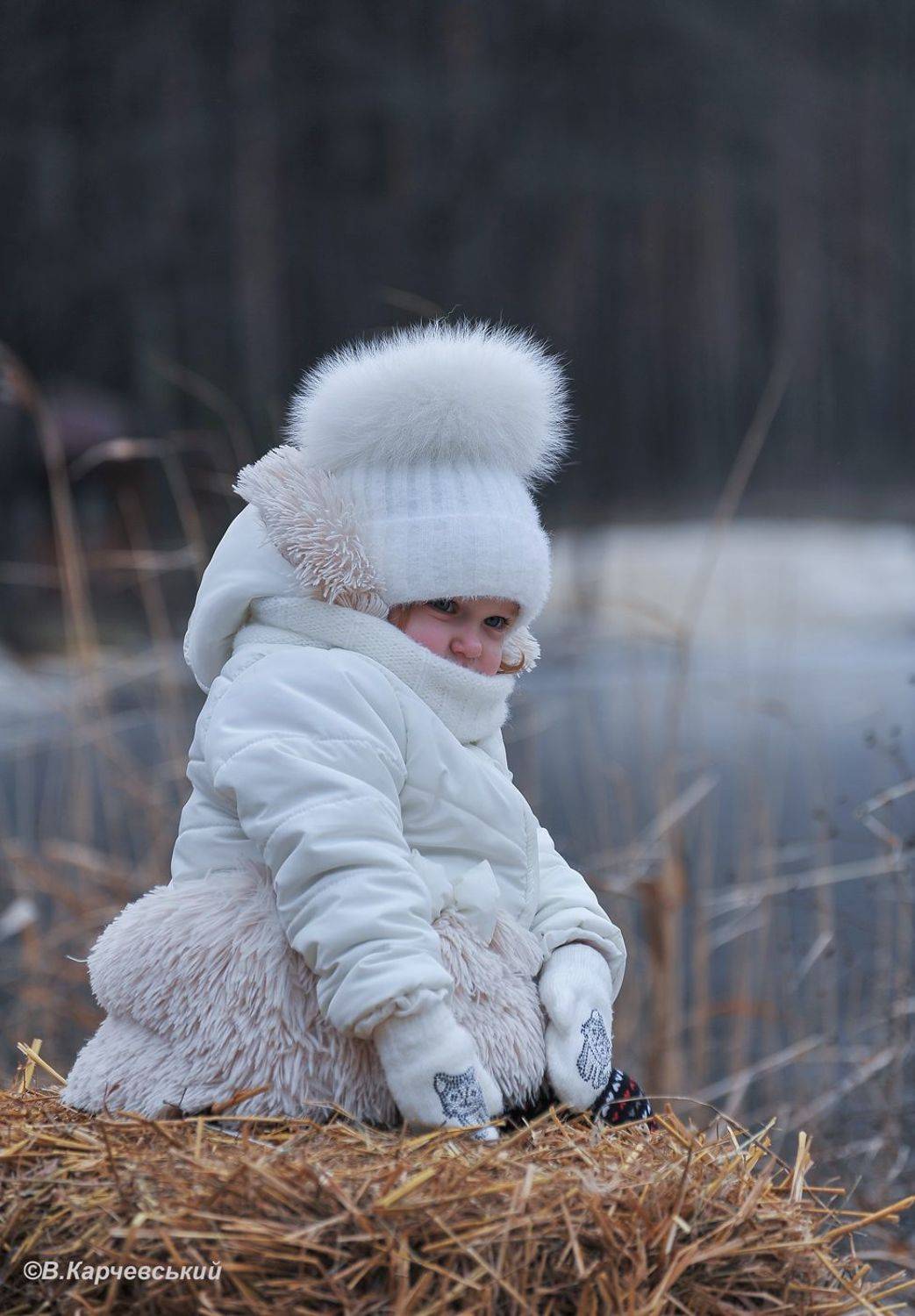 , Володимир Карчевський