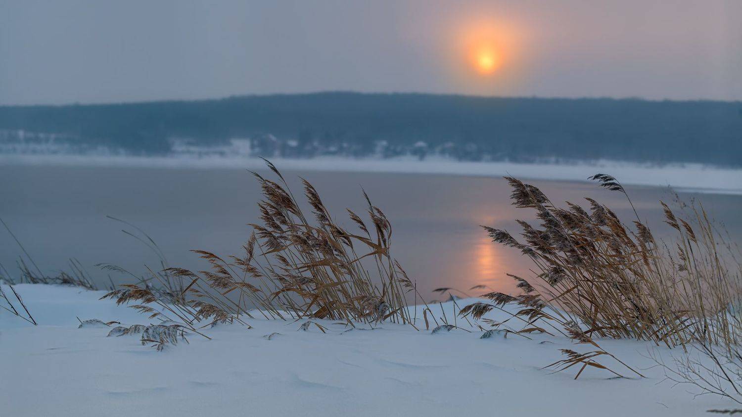 , Марат Кучкаев