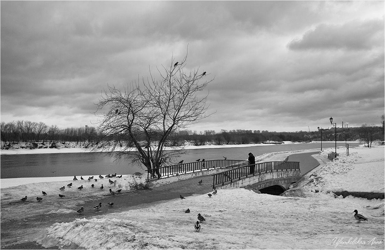 коломенское, зима, Анна Цветковская