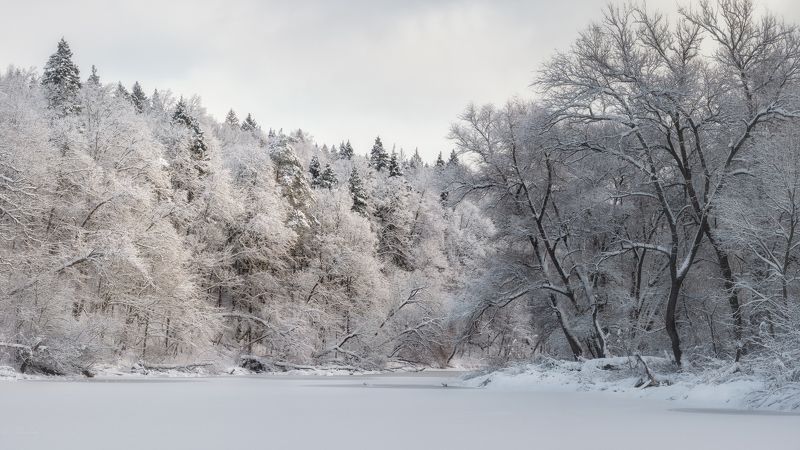Свежеть морозного утра фото превью
