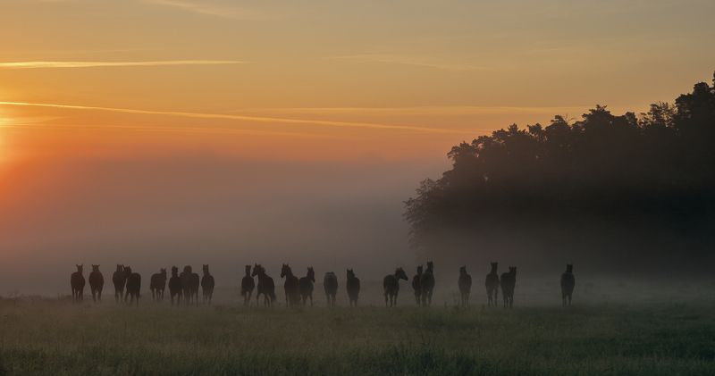 Untitled фото превью