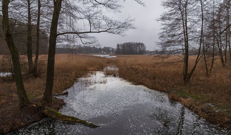 на прудах... фото превью