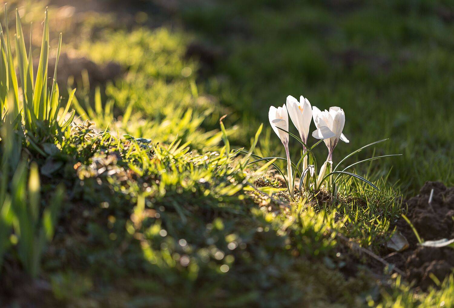 , Зеленько Дмитрий