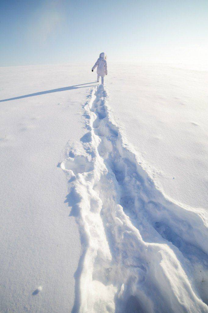 , Алексей Пирязев