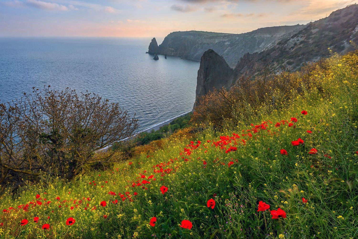 Фототуры с Владимиром Рябковым, #Крым #Crimea #crimea_life #topnature #russpasibo #magic_shots #lovelyRussia #sunset_vision #exclusive_sky  #exclusive_shots #loves_russia2 #photoarena_nature #nature_sultans #nature_perfection #rsa_sky #rsa_sunset #photoru, Владимир Рябков