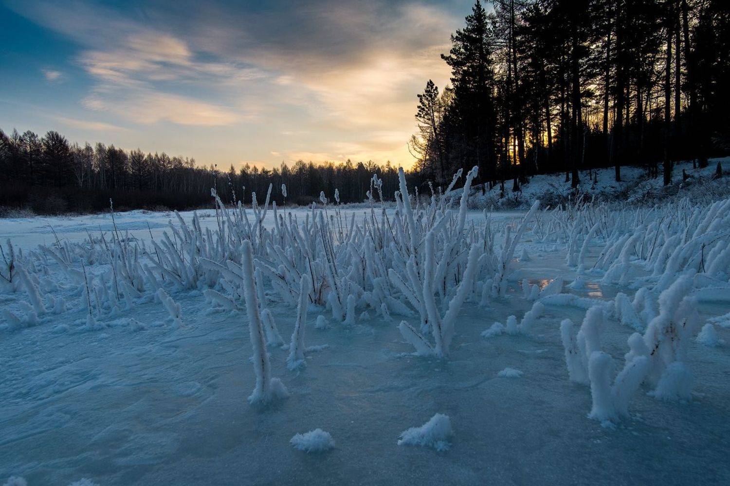 , Комеров Роман