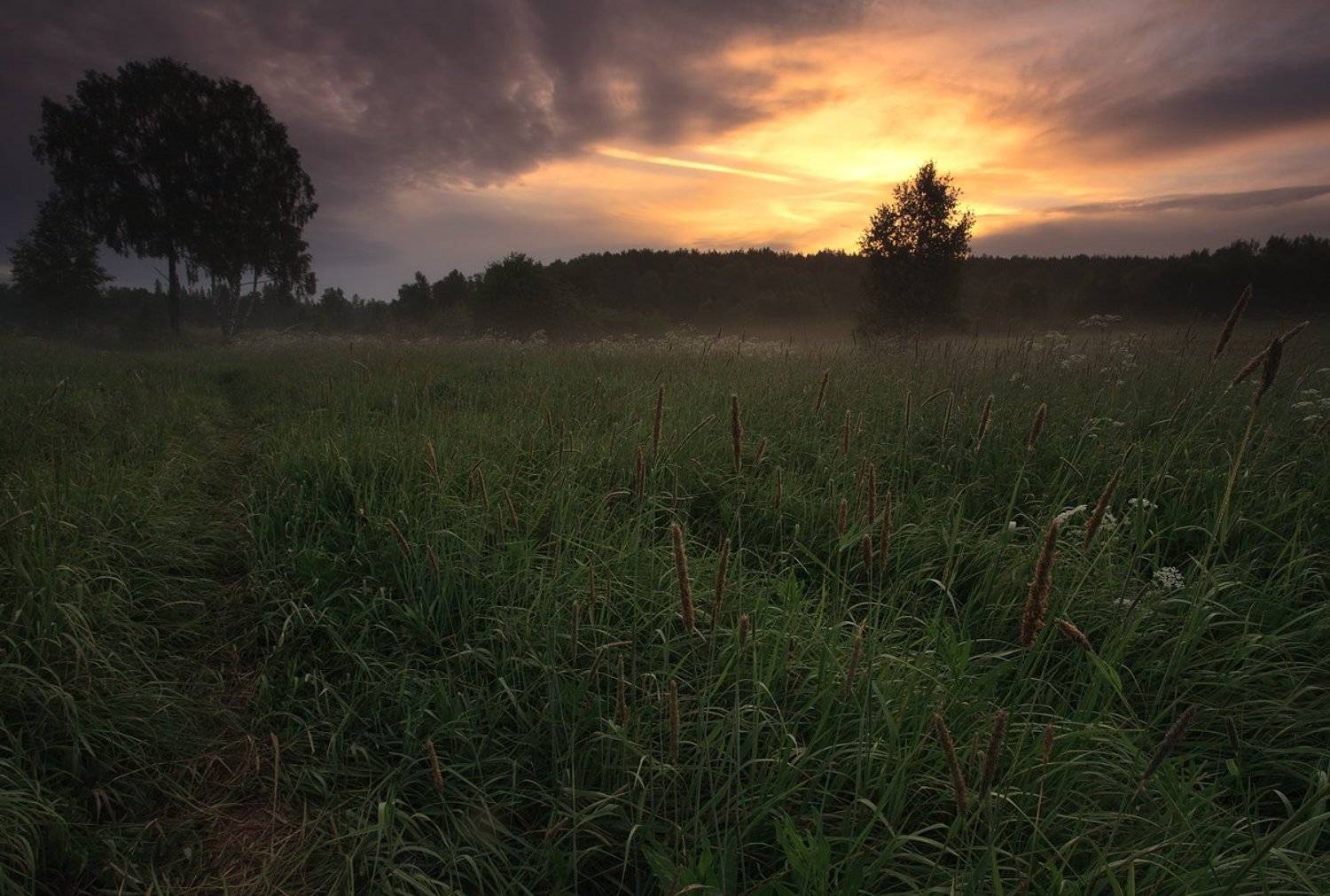 , Семёнов Дмитрий