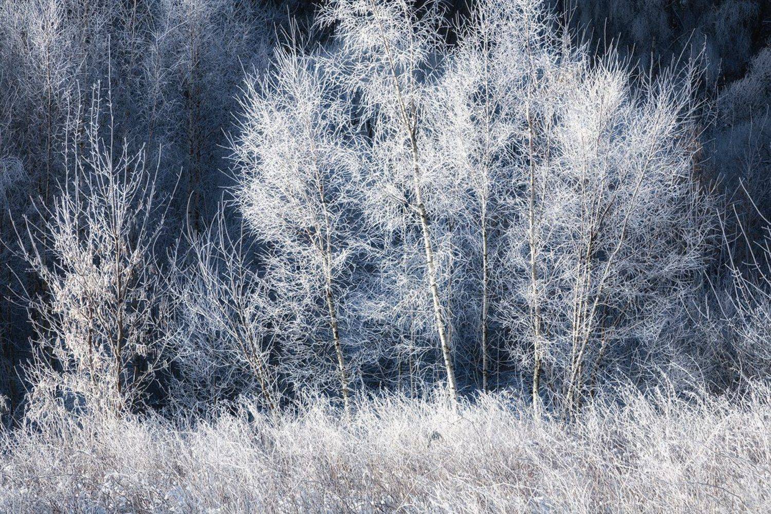 , Семёнов Дмитрий