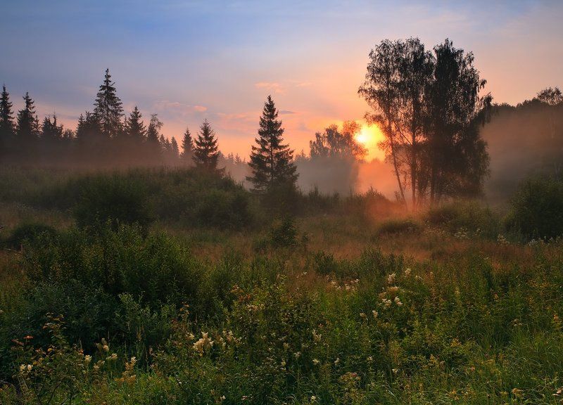 Рассвет на опушке фото превью