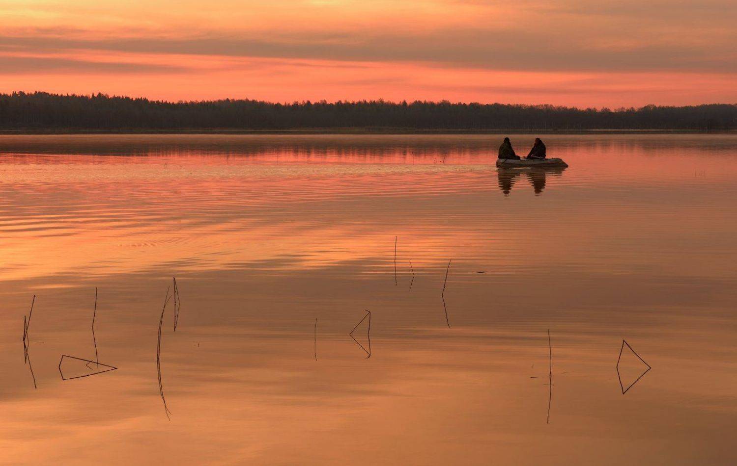 , Максим Евдокимов