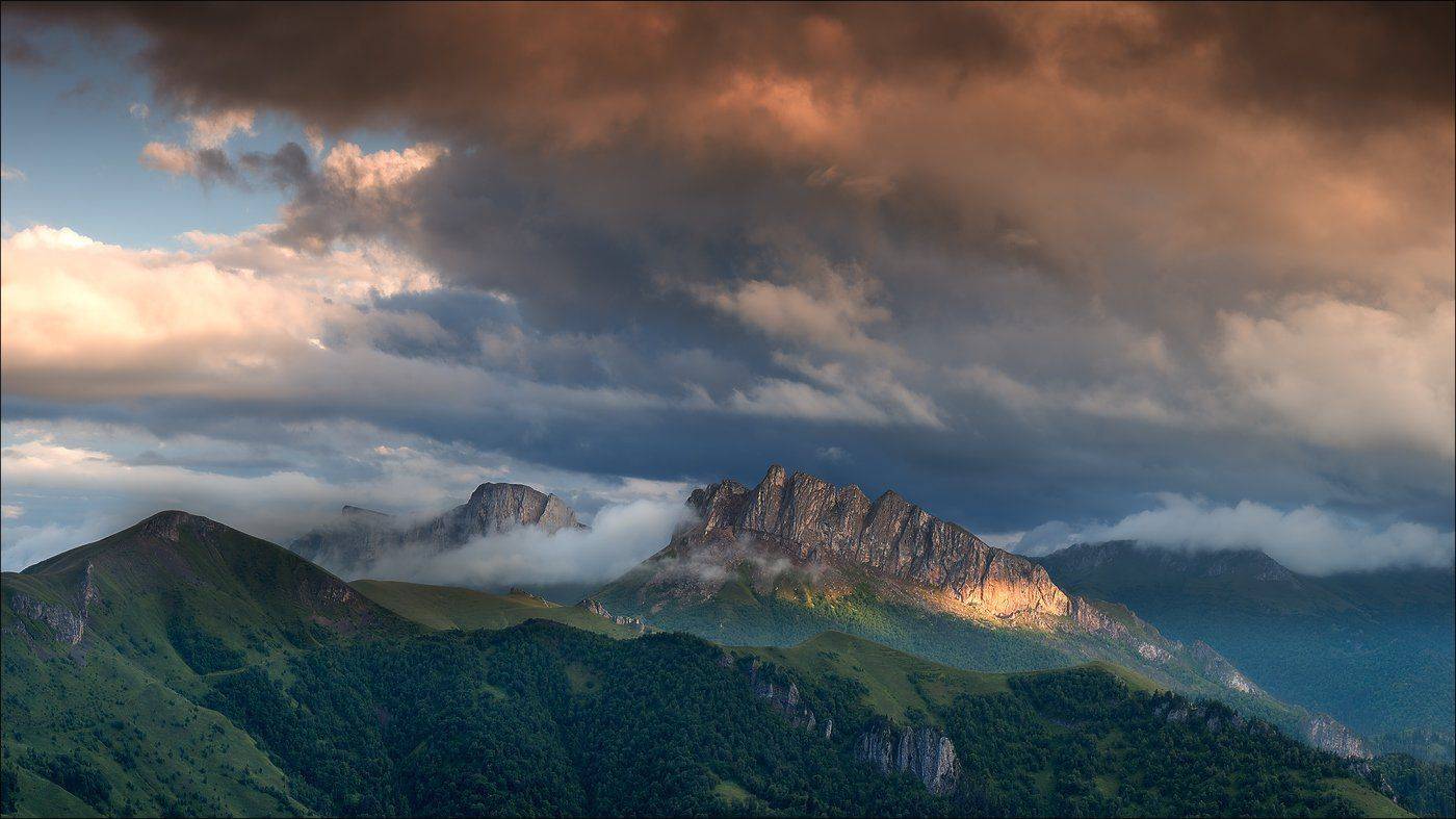 , Роман Стативка