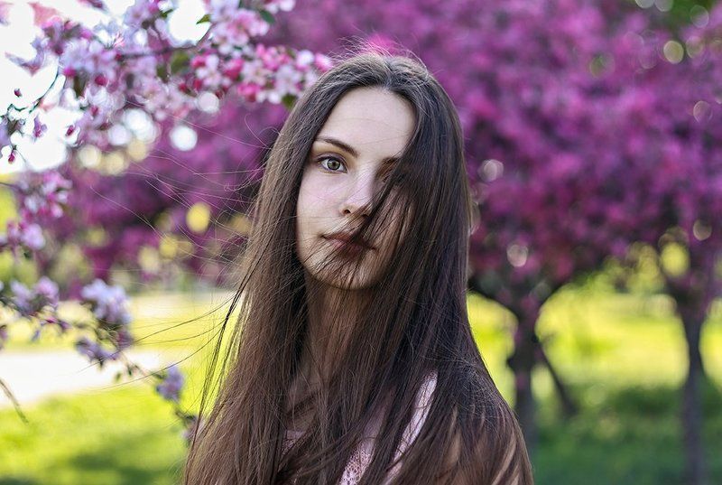 wind of spring фото превью