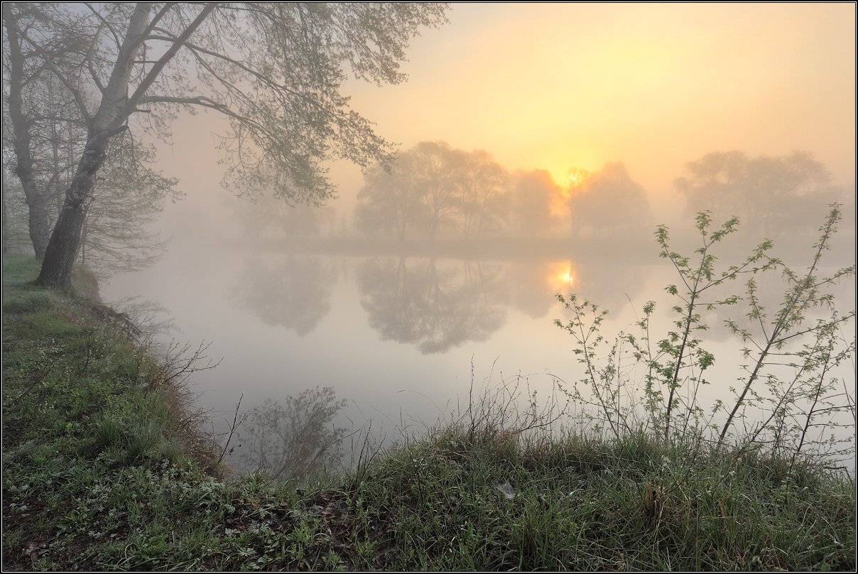 , Михаил (mgk)