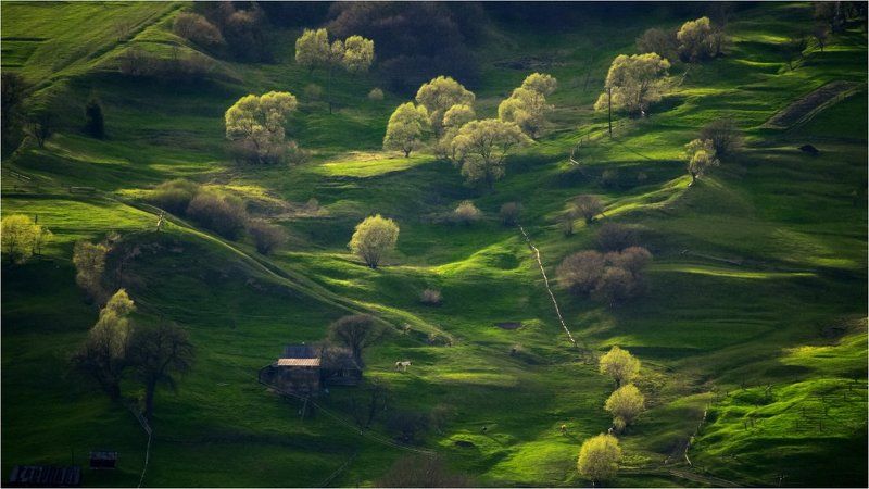 *** фото превью